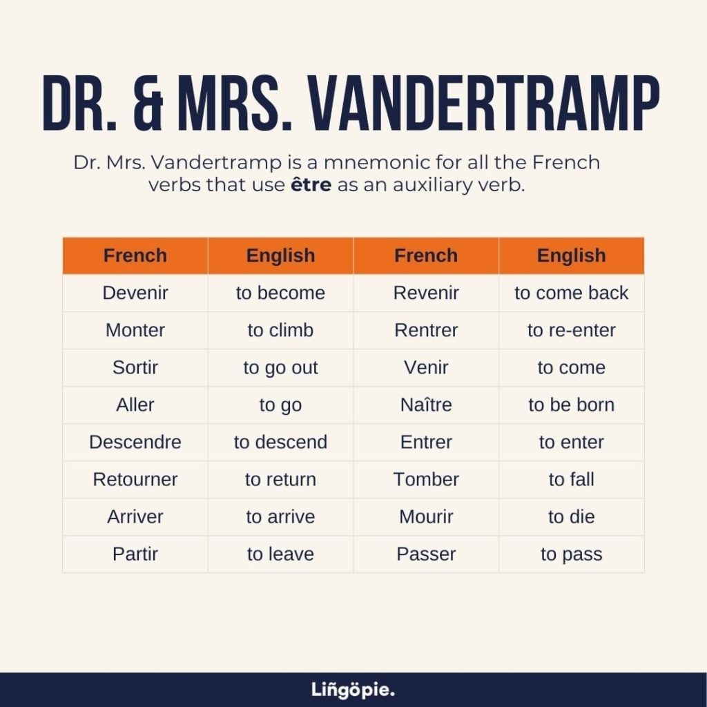 Exploring Dr Mrs Vandertramp A Guide For French Learners Article 