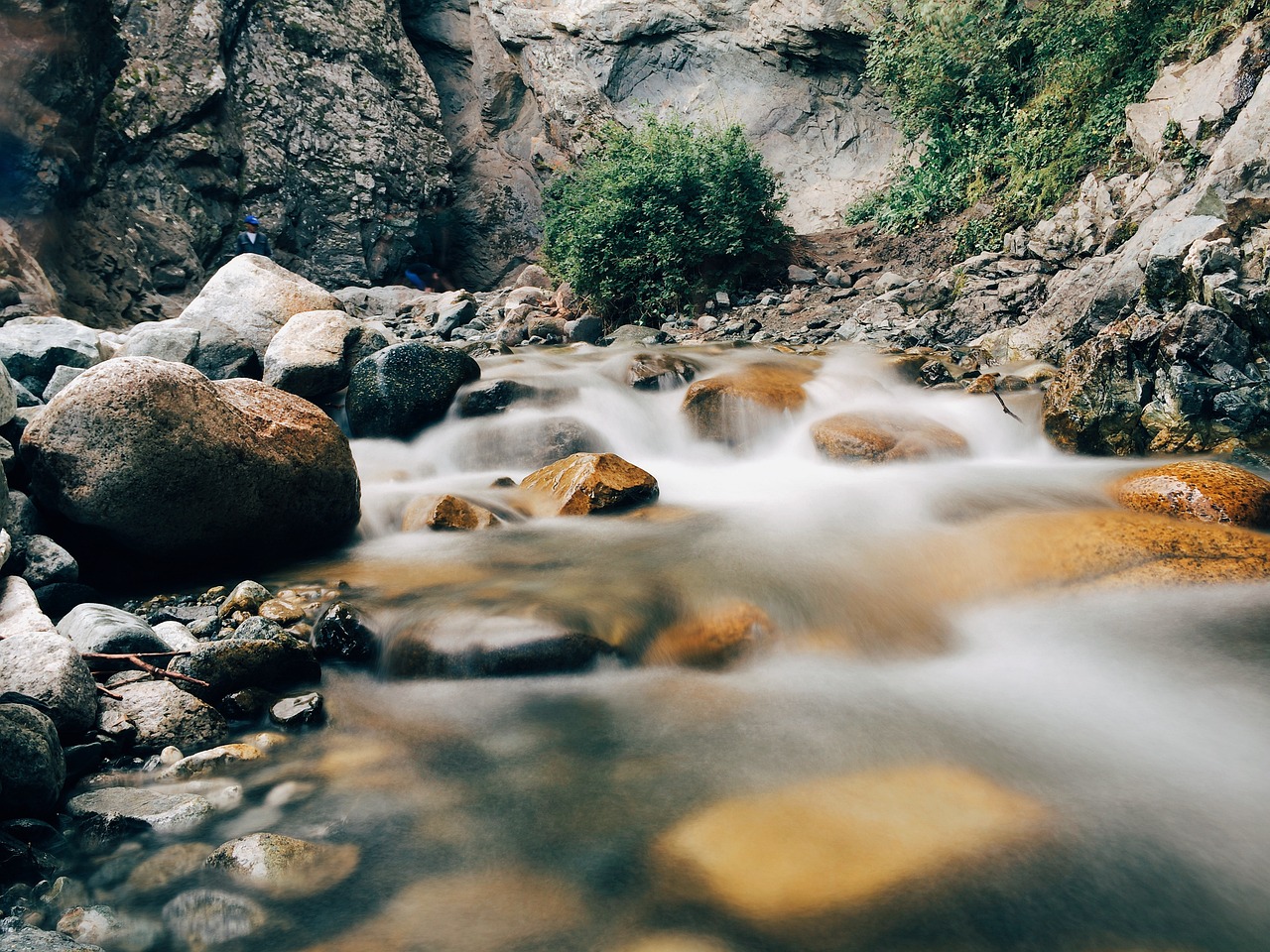 Wild, water, creek — Explore the Free Access Benefits of Reddit Soccer Streams