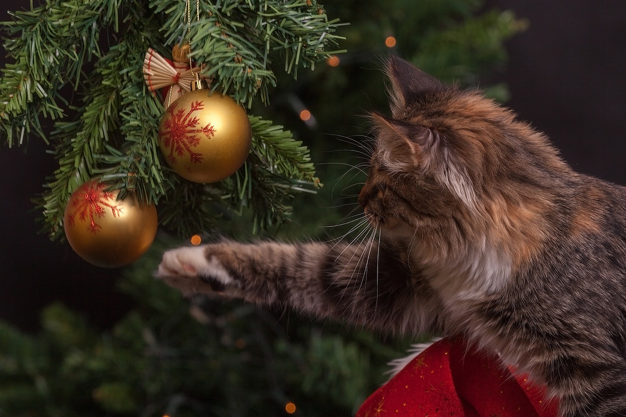 Cat, christmas tree, ornaments — Wall Panels for Modern Interiors That Balance Style, Durability, and Affordability